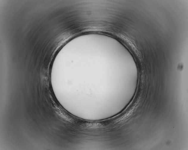 X0000098051129200804181317