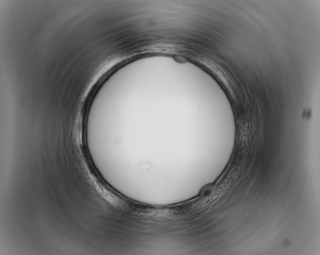 X0000098051131200804181317