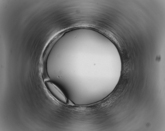 X0000098051132200804181317