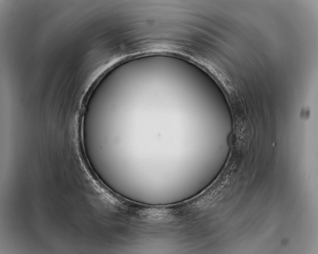 X0000098051134200804181317