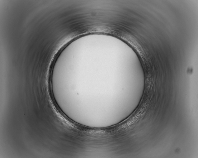 X0000098051135200804181317