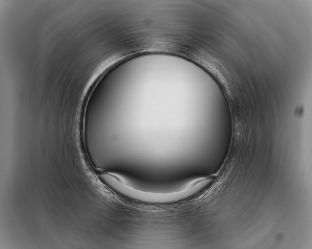 X0000098051138200804181317