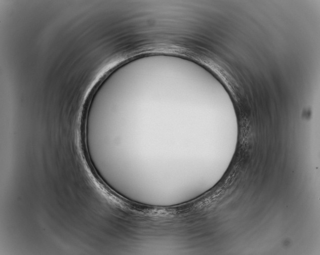 X0000098051139200804181317