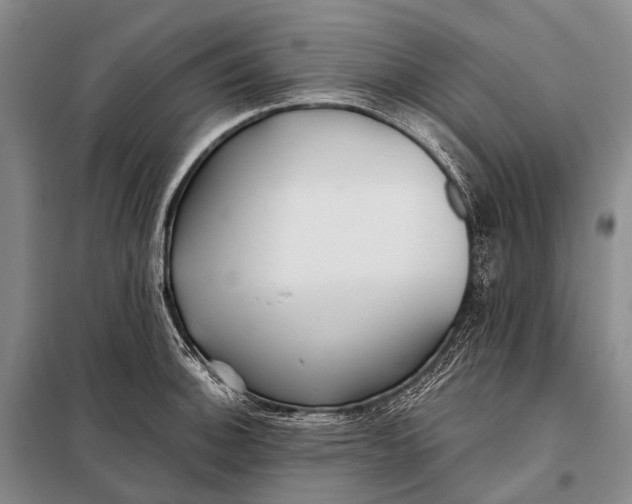 X0000098051140200804181317