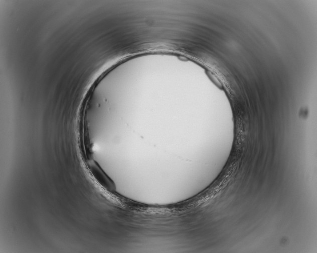 X0000098051142200804181317