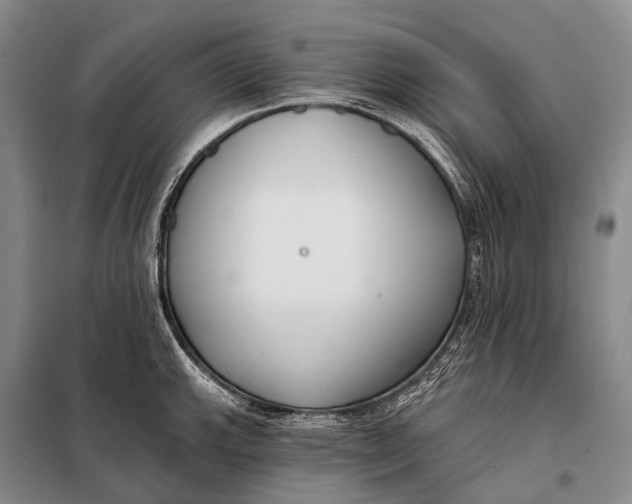 X0000098051143200804181317