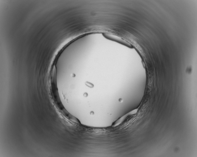 X0000098051144200804181317