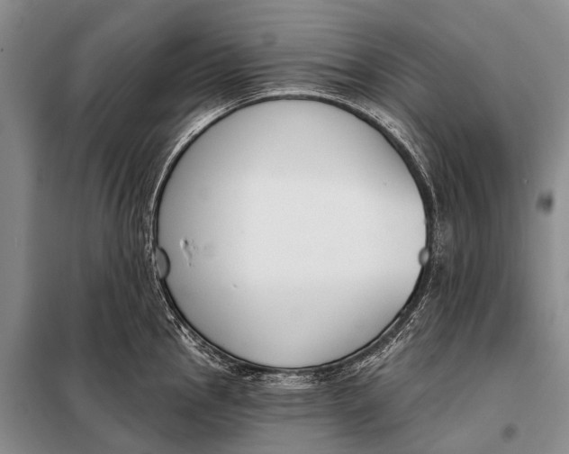 X0000098051145200804181317