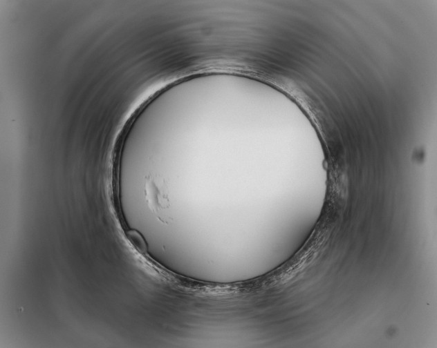 X0000098051147200804181317