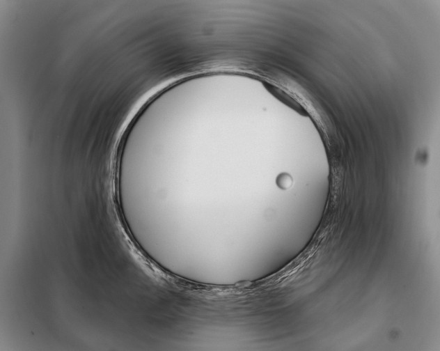 X0000098051148200804181317