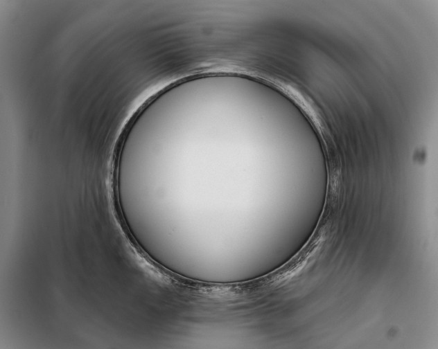 X0000098051149200804181317