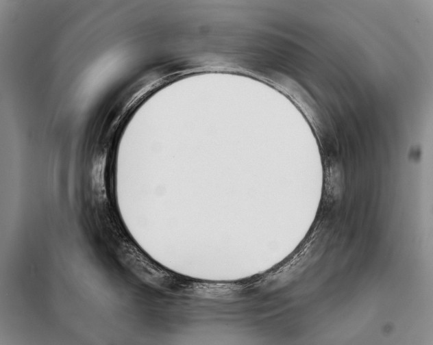 X0000098051150200804181317