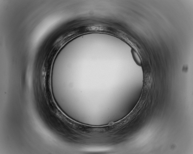 X0000098051151200804181317