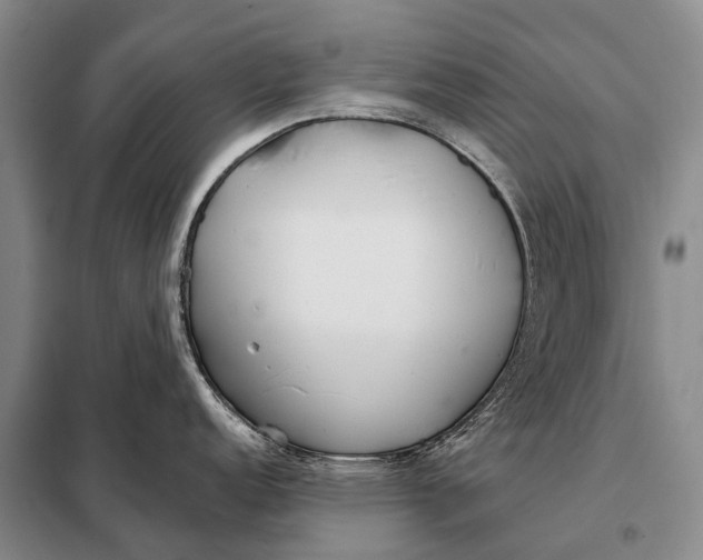 X0000098051152200804181317