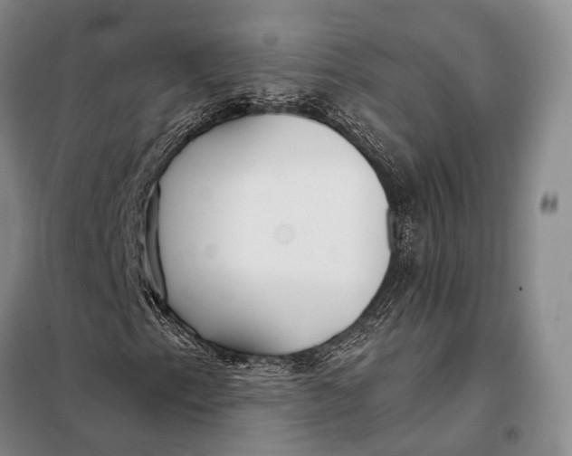 X0000098051153200804181316