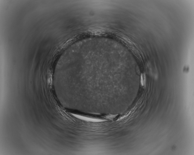 X0000098051155200804181316