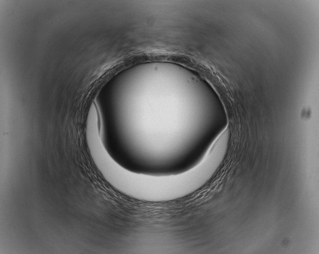 X0000098051157200804181316