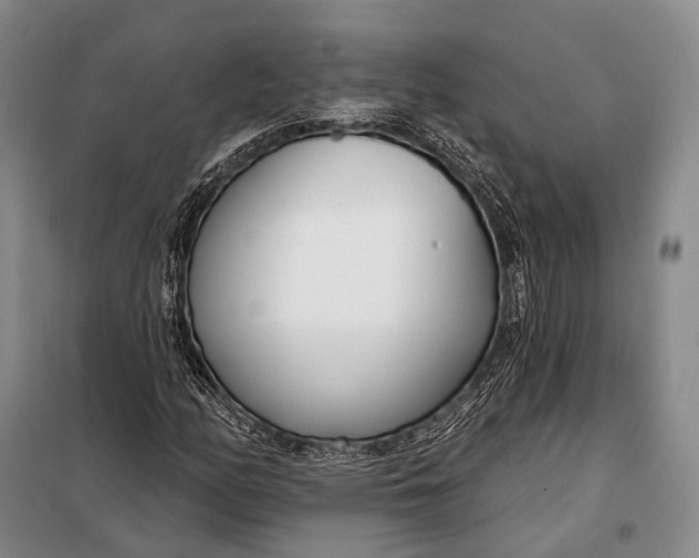 X0000098051158200804181316