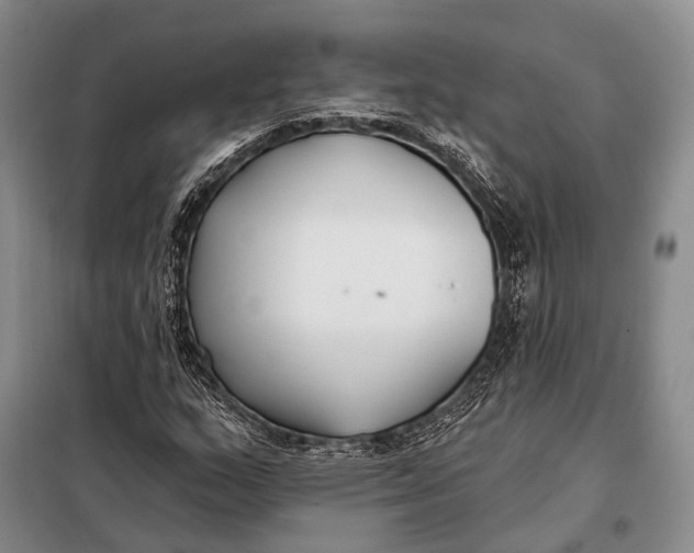 X0000098051159200804181316