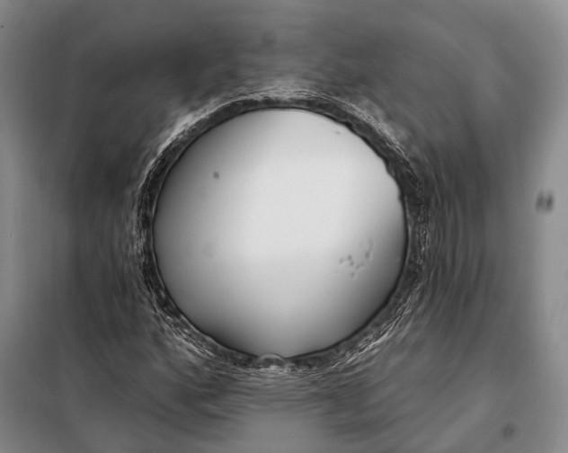 X0000098051160200804181316