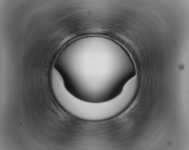 X0000098051161200804181316