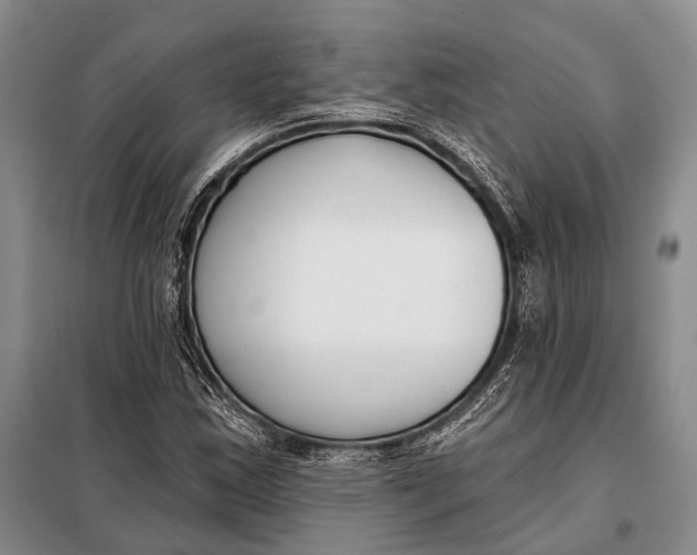 X0000098051163200804181316