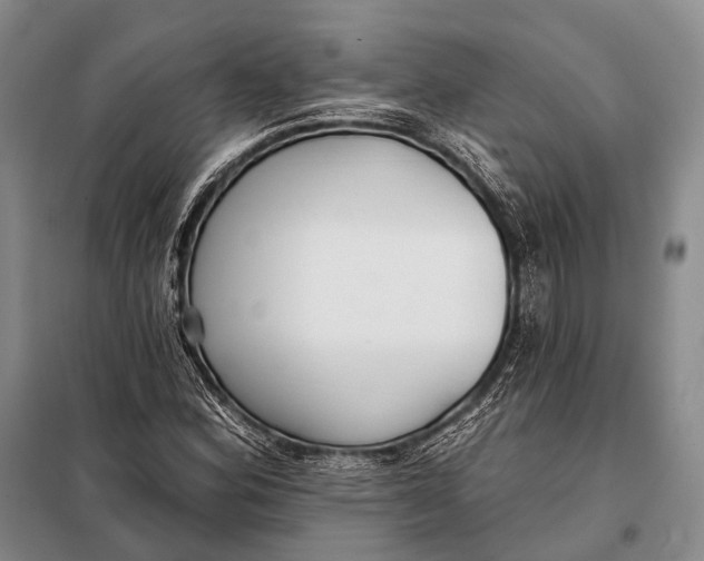 X0000098051164200804181316