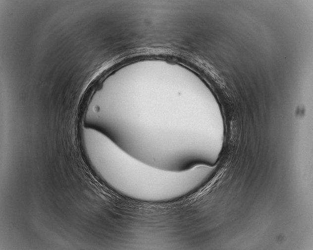 X0000098051165200804181316