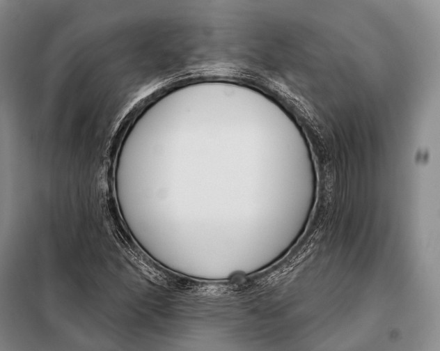 X0000098051166200804181316