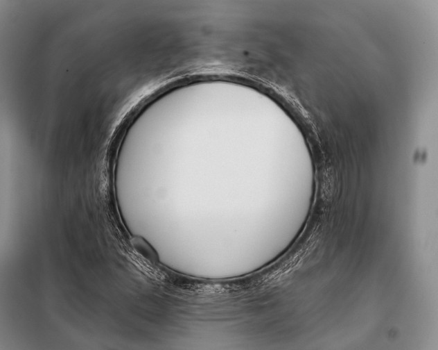 X0000098051167200804181316