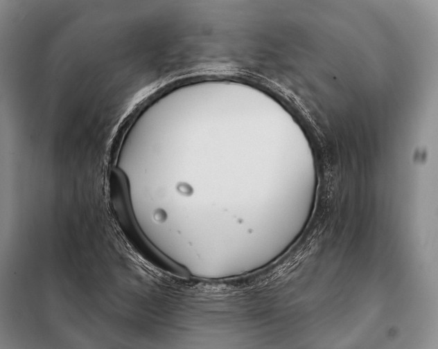 X0000098051168200804181316