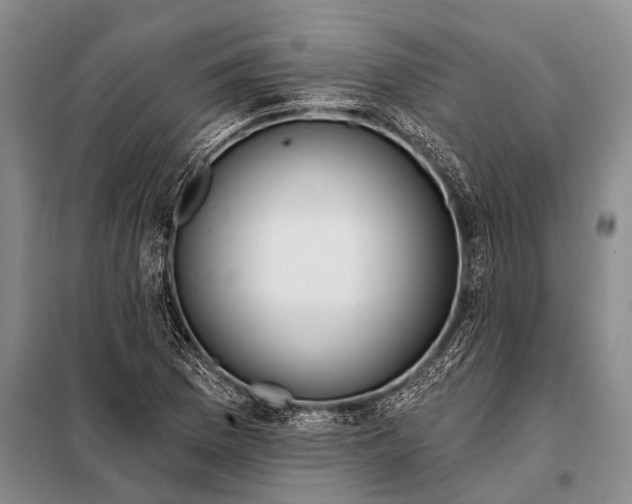 X0000098051169200804181316