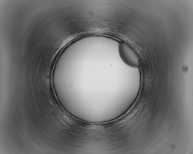 X0000098051170200804181316