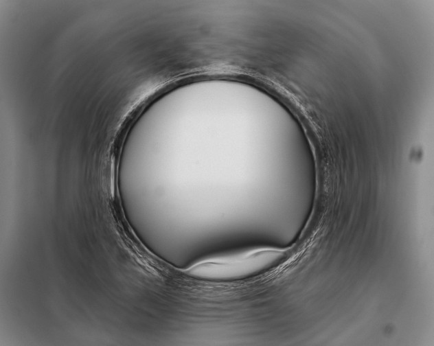 X0000098051171200804181316