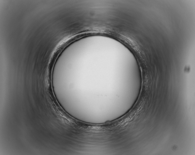 X0000098051172200804181316