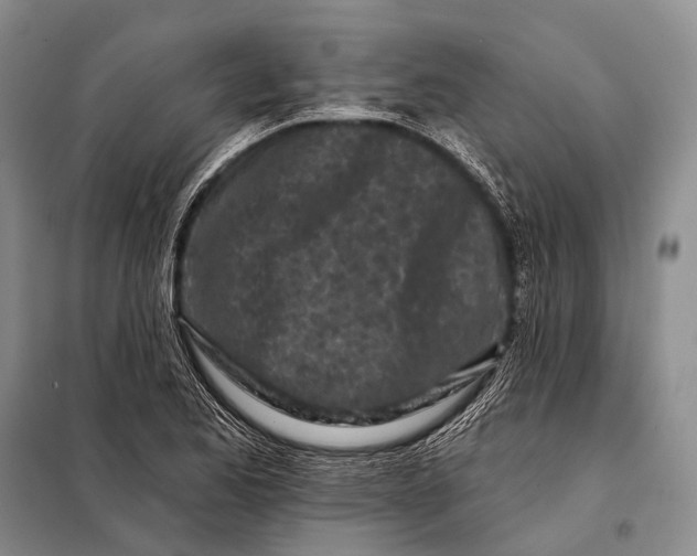 X0000098051173200804181316