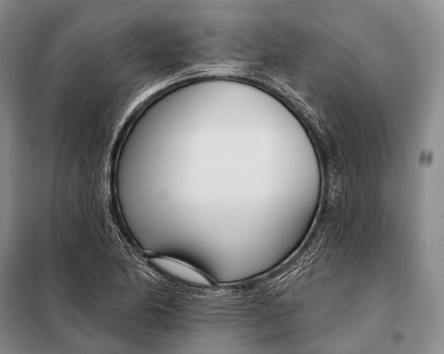 X0000098051174200804181316