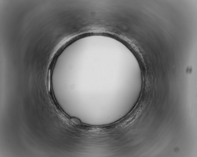 X0000098051175200804181316