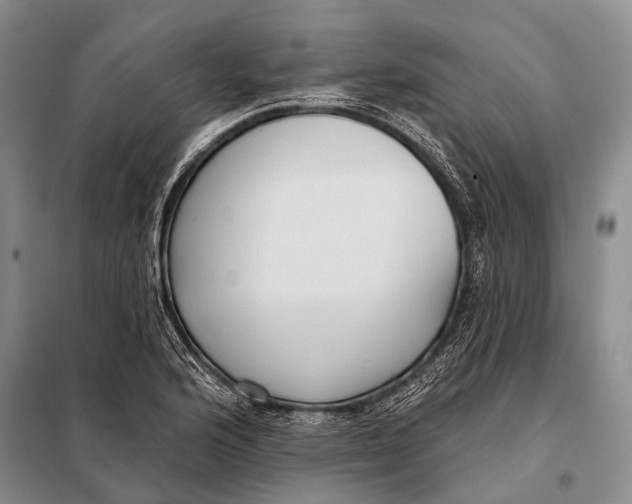 X0000098051176200804181316