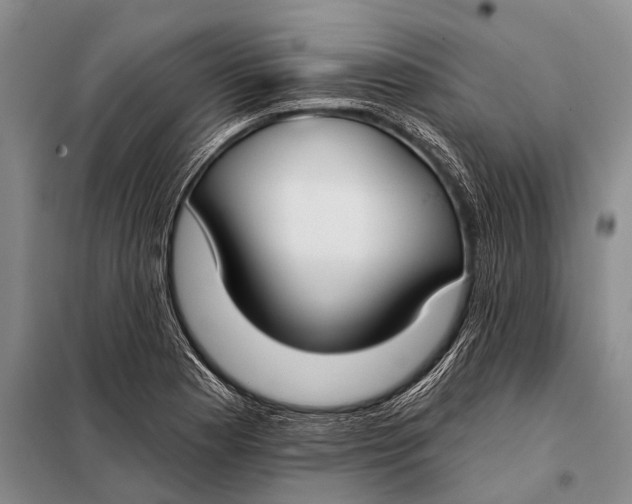 X0000098051177200804181316