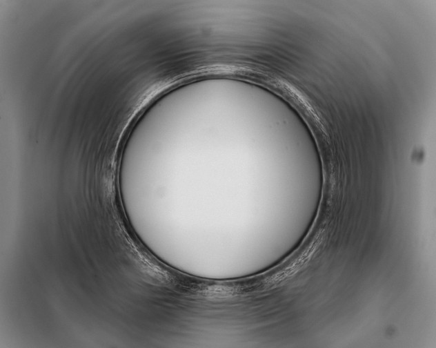 X0000098051178200804181316