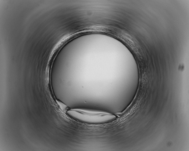 X0000098051180200804181316