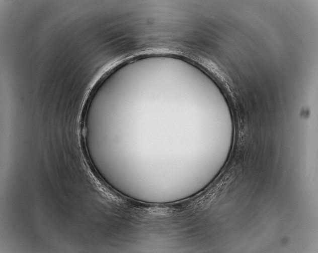 X0000098051181200804181316