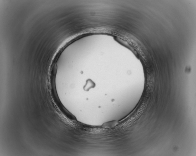 X0000098051184200804181316