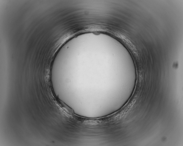 X0000098051185200804181316