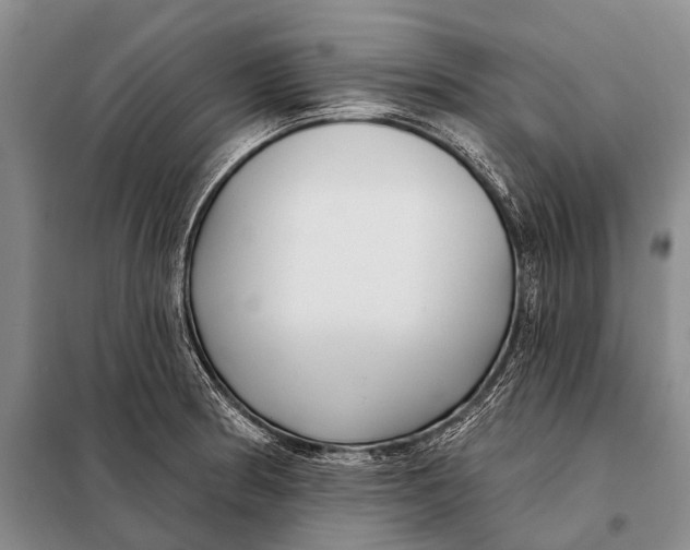 X0000098051186200804181316