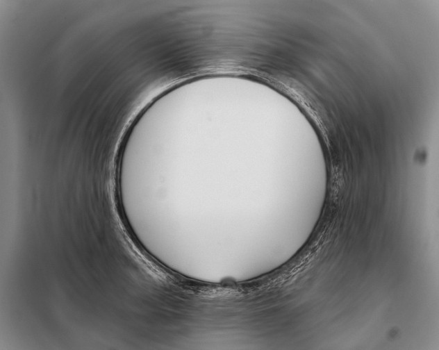 X0000098051187200804181316