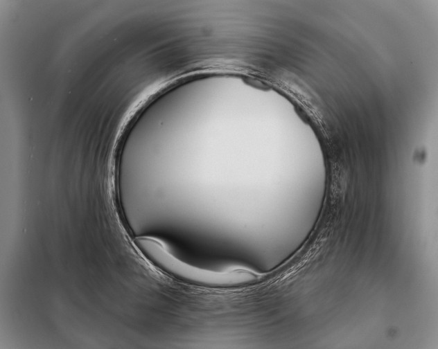 X0000098051188200804181316