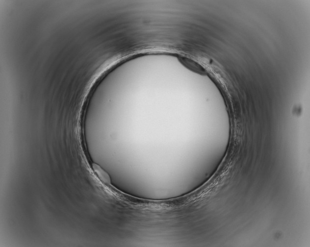 X0000098051189200804181315