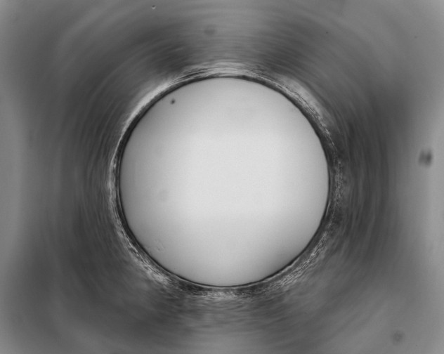 X0000098051190200804181315